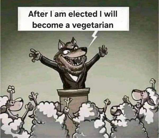 Wolf making a speech in front of a crowd of sheep.

"After I am elected I will become a vegetarian."

The sheep cheer wildly.